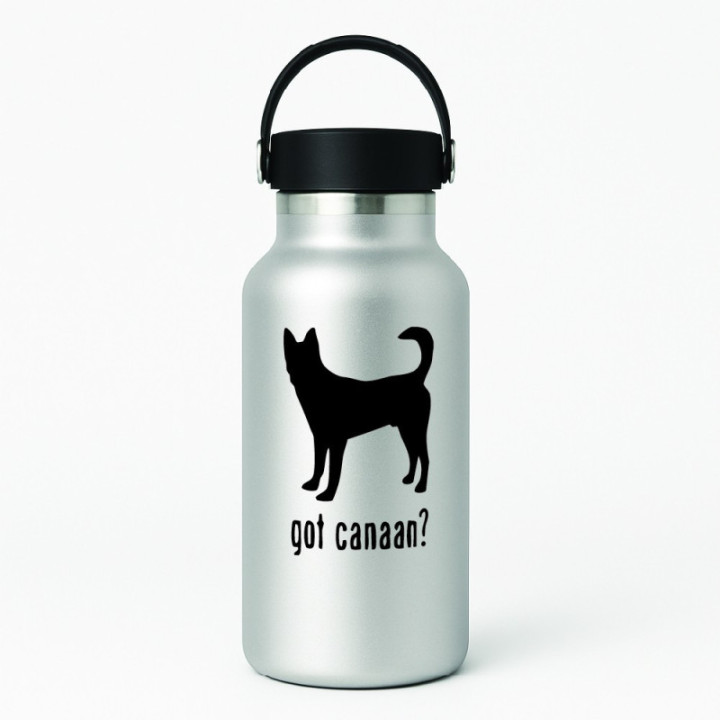 Buy Got Canaan Dog Online