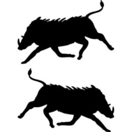 Buy Wild Boar Decal Sticker Online