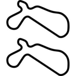 Buy Willowprings Big Willow Vinyl Decal Sticker Online