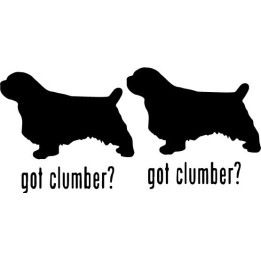 Buy Got Clumber Dog Online