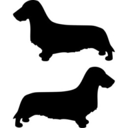 Buy Wirehaired Dachsund Dog 3 Vinyl Decal Sticker Online
