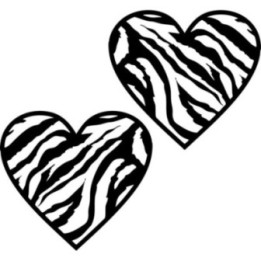 Buy Zebra Heart 20 Decal Online