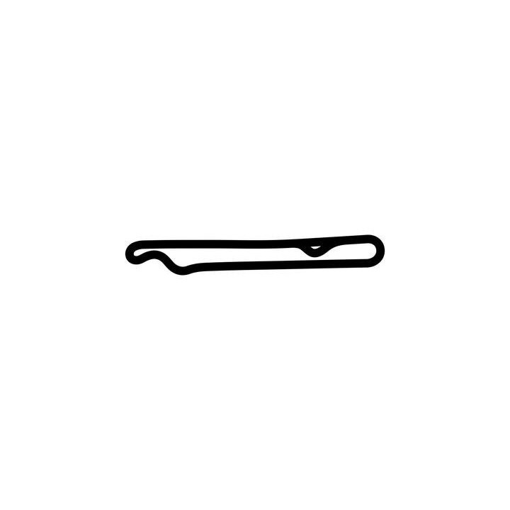 Buy HETHEL TEST TRACK NORTH LOOP DECAL Online