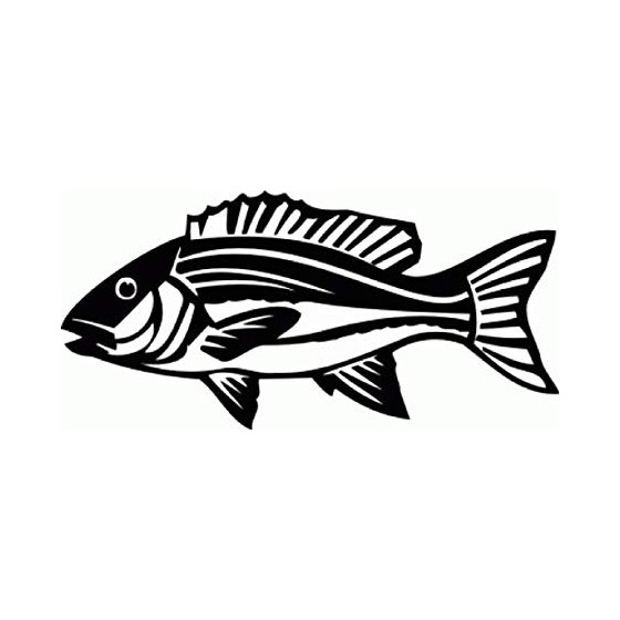Red Snapper Vinyl Decal...