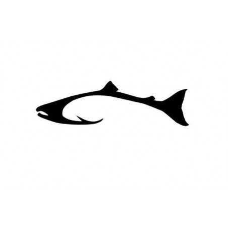 Salmon Vinyl Decal Sticker V4 - DecalsHouse