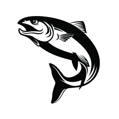 Salmon Vinyl Decal Sticker - DecalsHouse