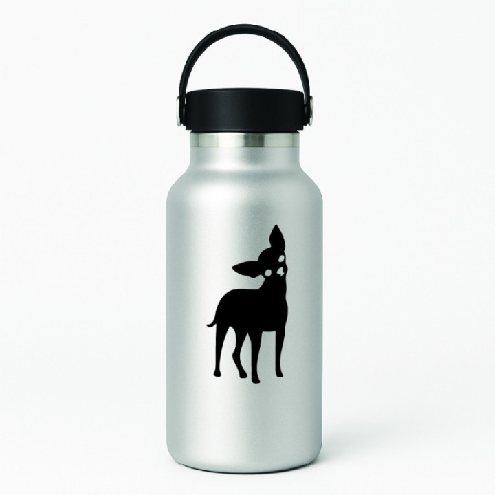 Buy Chihuahua Curious Dog Online