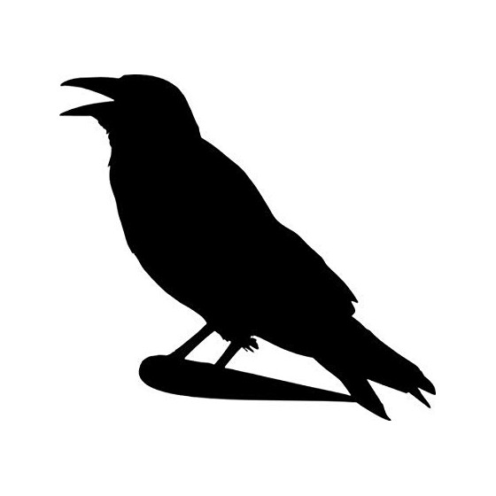 Crow Bird Vinyl Decal Sticker