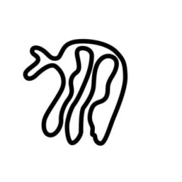 Buy MECAGLISSE CIRCUIT DECAL Online