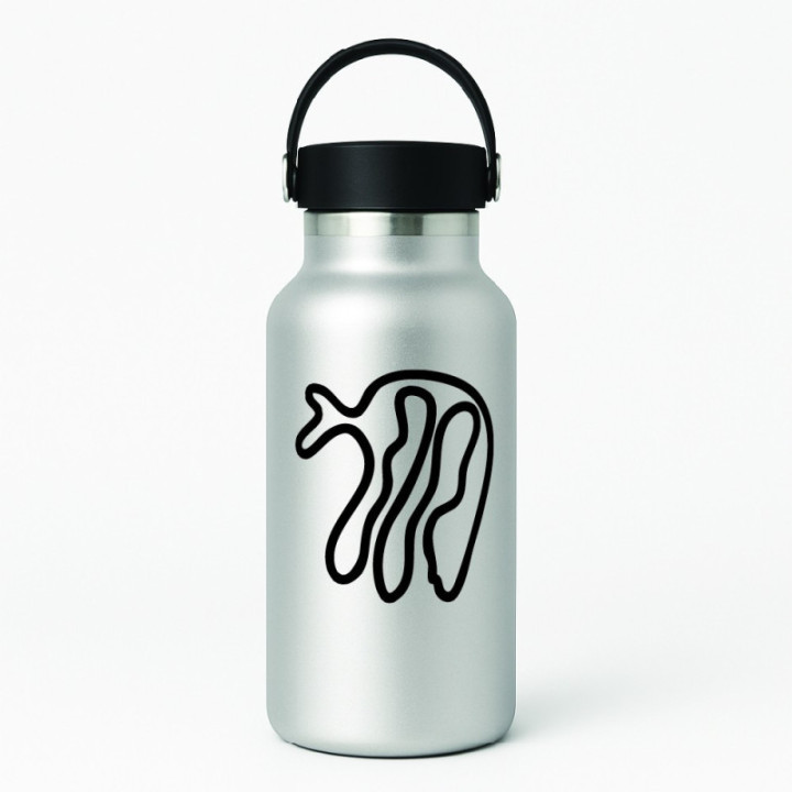 Buy MECAGLISSE CIRCUIT DECAL Online
