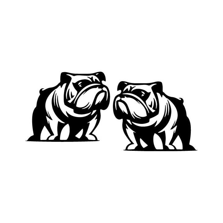 Buy English Bulldog Online