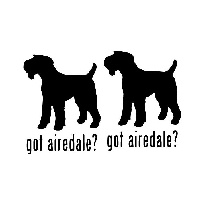 Buy Got Airedale Terrier Dog Online