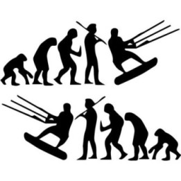 Buy Evolution Kitesurfing Evolution Vinyl Decal Sticker Online