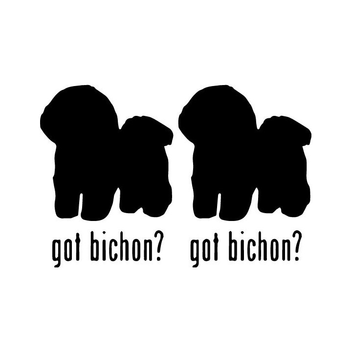 Buy Got Bichon Dog Online