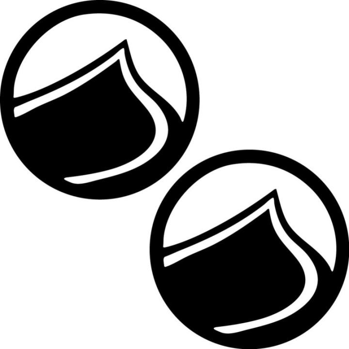 Liquid Force Stickers – Round Logo Kiteboard Wakeboard Decals (2-Pack)