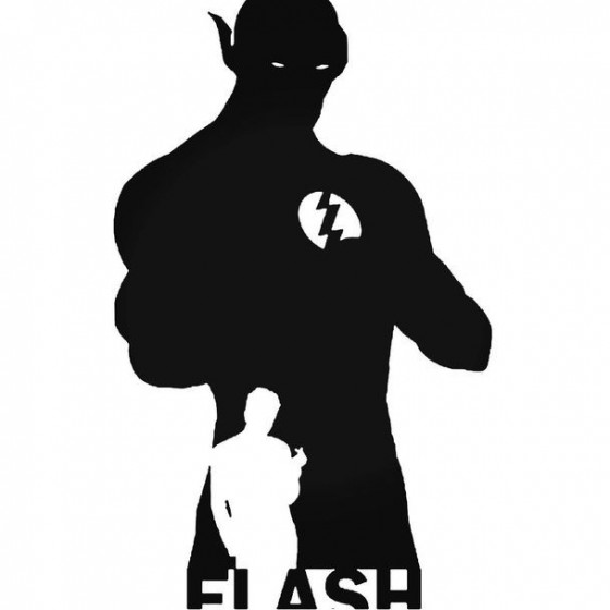 Flash 419 Decal