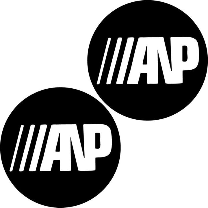 RVCA ANP Stickers – Artist Network Surf Skate Decals (2-Pack)