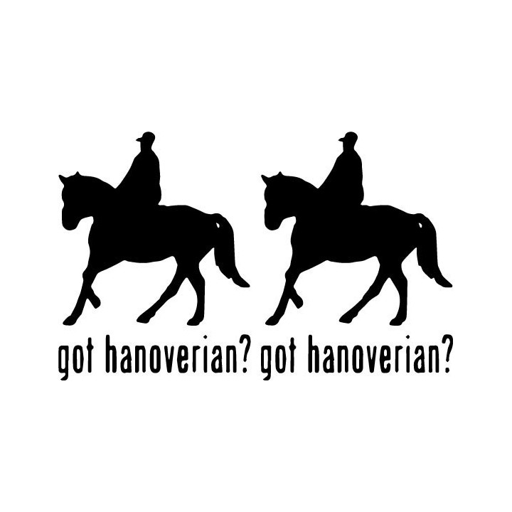Buy Got Hanoverian Horse Online