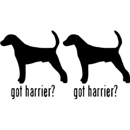 Buy Got Harrier Hound Dog Online