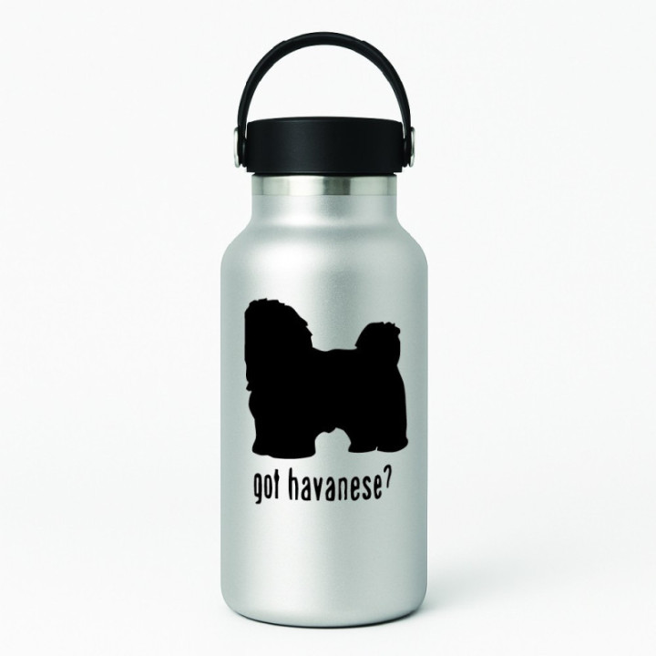 Buy Got Havanese Toy Dog Online