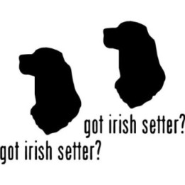 Buy Got Irish Setter Dog Online