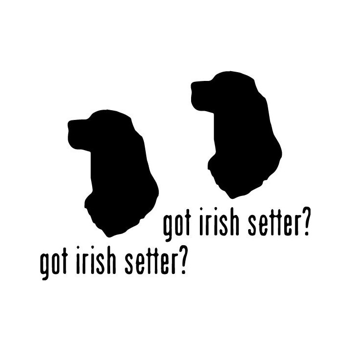 Buy Got Irish Setter Dog Online