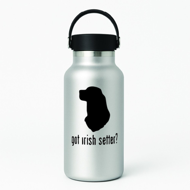 Buy Got Irish Setter Dog Online