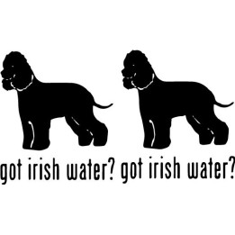 Buy Got Irish Water Spaniel Dog Online