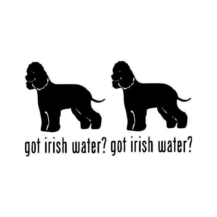 Buy Got Irish Water Spaniel Dog Online