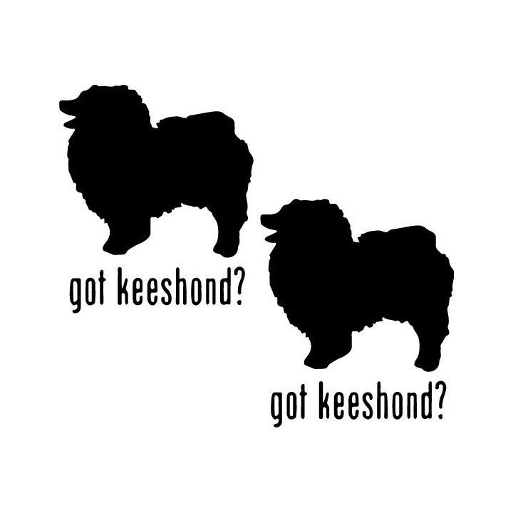Buy Got Keeshond Dog Online