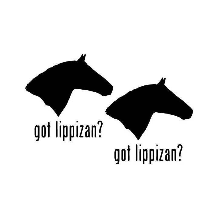 Buy Got Lipizzan Horse Online