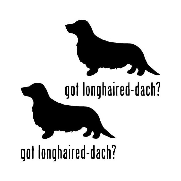 Buy Got Longhaired Dachshund Dog Online