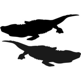 Alligator Decal Sticker V17 - DecalsHouse