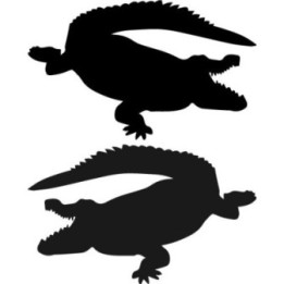 Alligator Decal Sticker V21 - DecalsHouse