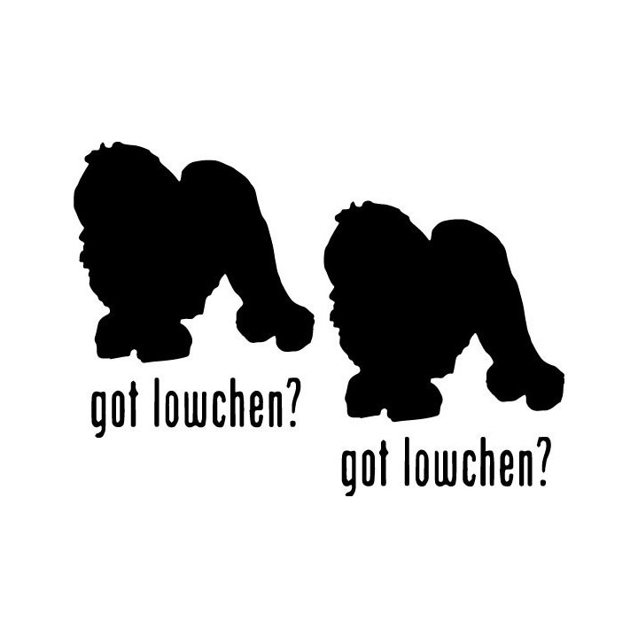 Buy Got Lowchen Dog Online