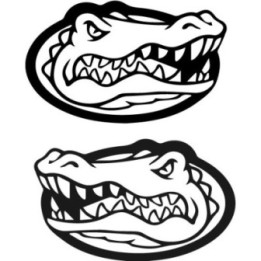 Alligator Decal Sticker V25 - DecalsHouse