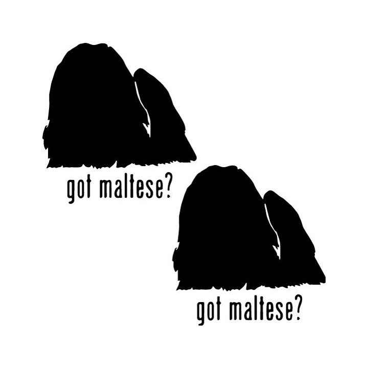 Buy Got Maltese Toy Dog Decal Sticker 2 Online