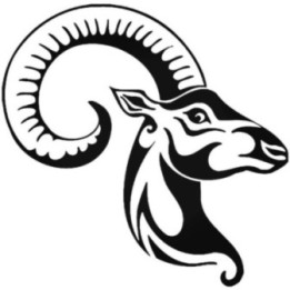 Antelope Decal Sticker V10 - DecalsHouse