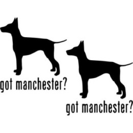 Buy Got Manchester Terrier Dog Online
