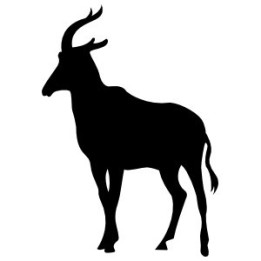 Antelope Decal Sticker V20 - DecalsHouse