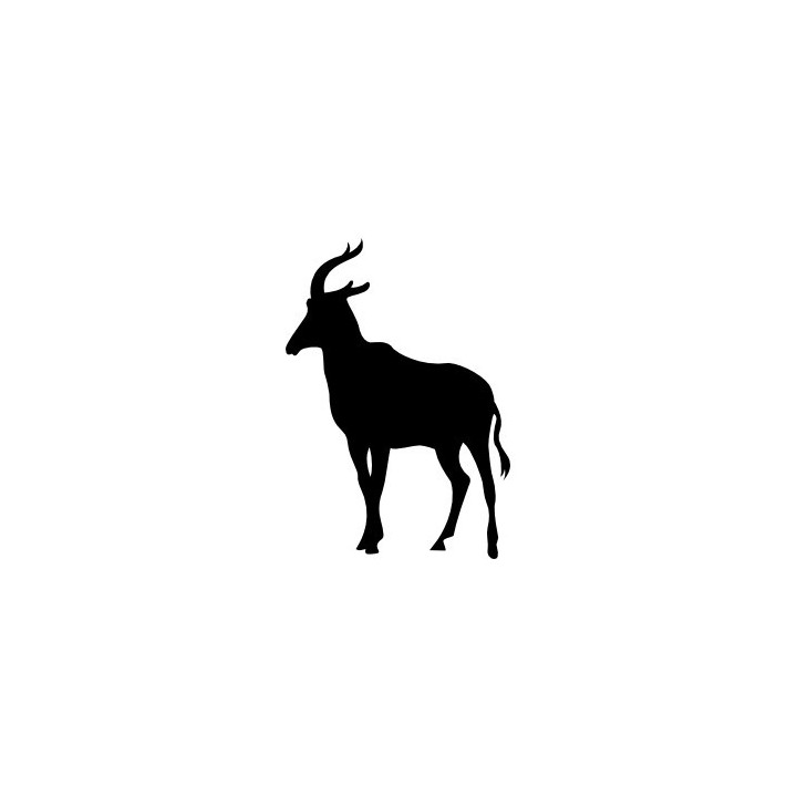 Antelope Decal Sticker V20 - DecalsHouse