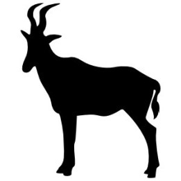 Antelope Decal Sticker V24 - DecalsHouse