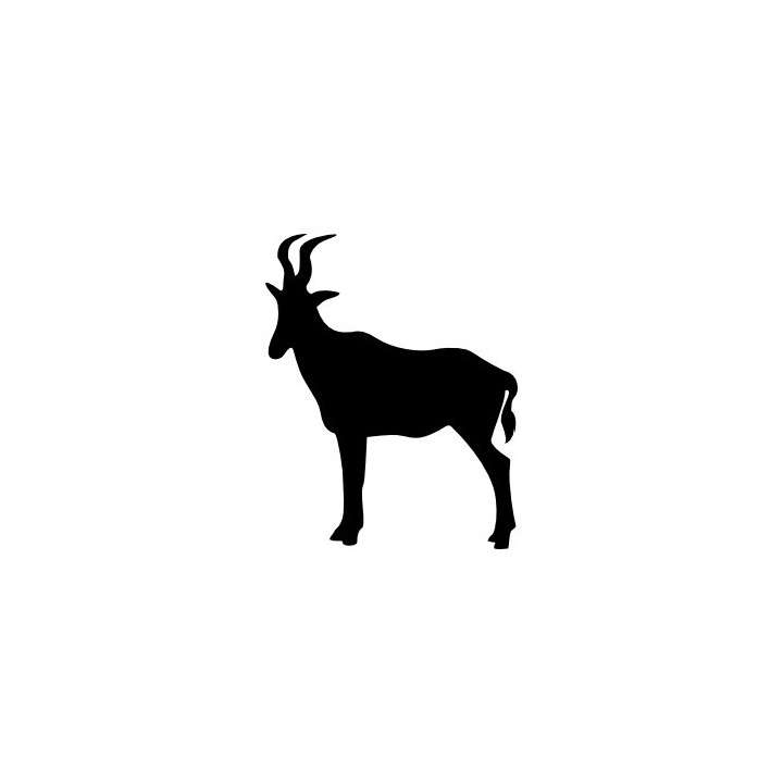 Antelope Decal Sticker V24 - DecalsHouse