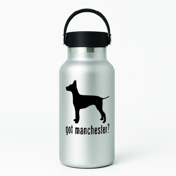 Buy Got Manchester Terrier Dog Online