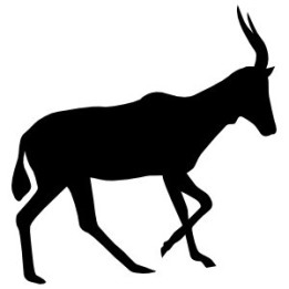 Antelope Decal Sticker V36 - DecalsHouse