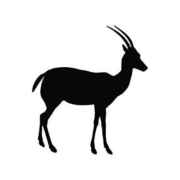 Antelope Decal Sticker V7 - DecalsHouse
