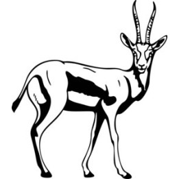 Antelope Decal Sticker V9 - DecalsHouse