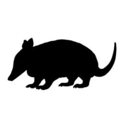 Armadillo Decal Sticker V15 - DecalsHouse