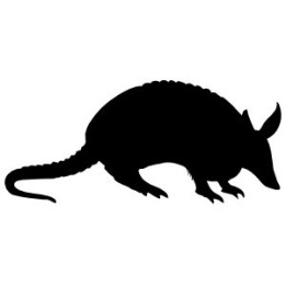 Armadillo Decal Sticker V18 - DecalsHouse