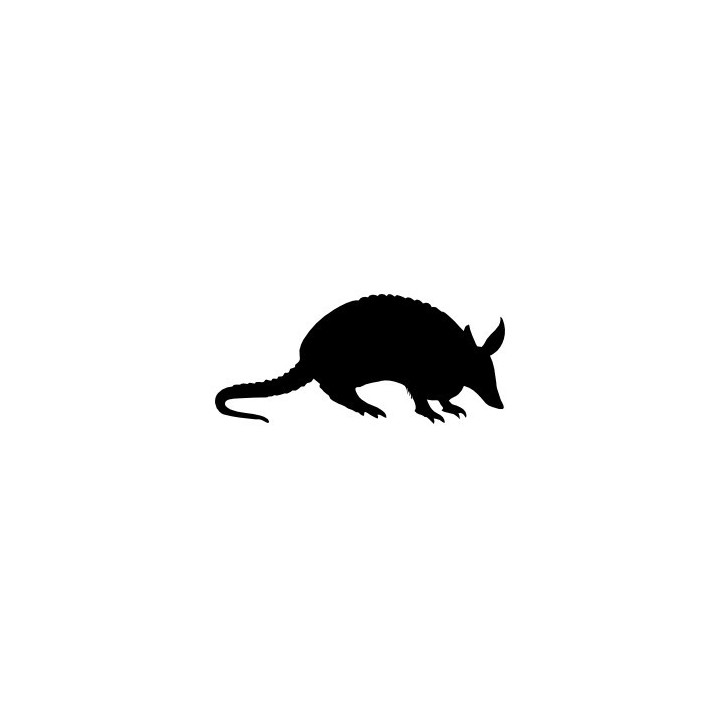 Armadillo Decal Sticker V18 - DecalsHouse
